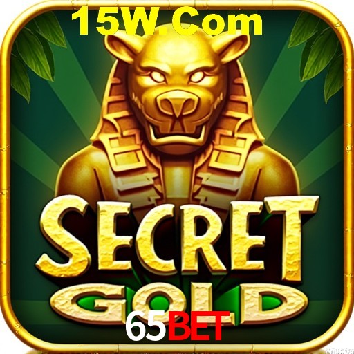 Security Systems 65Bet